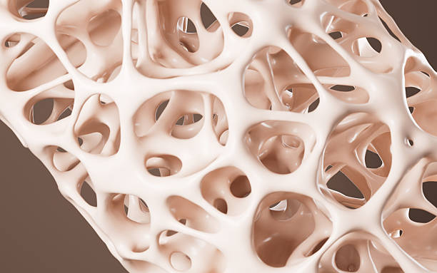 istock Abstract porous framework material background, nerve fibers background, bone mineral density background, 3d rendering. 2235460468