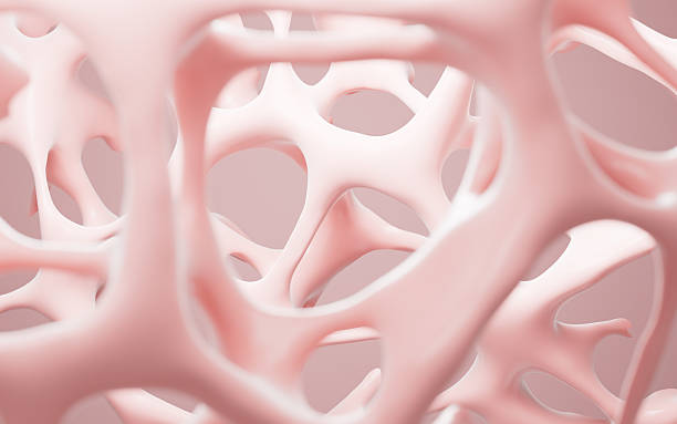 istock Abstract porous framework material background, nerve fibers background, bone mineral density background, 3d rendering. 2235460509