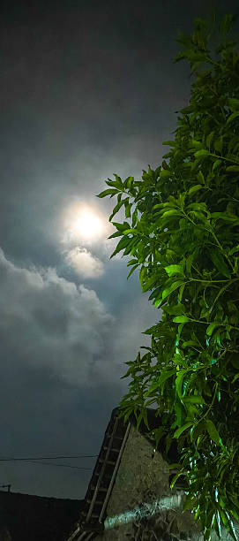 istock the moon in the night sky 2235466576