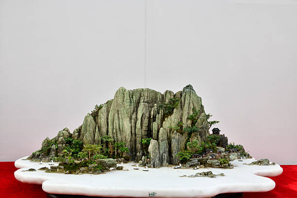 istock Chinese Fine Bonsai 2235468112