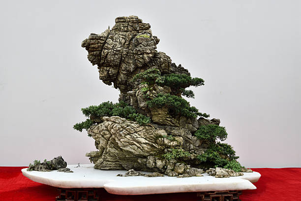 istock Chinese Fine Bonsai 2235469165