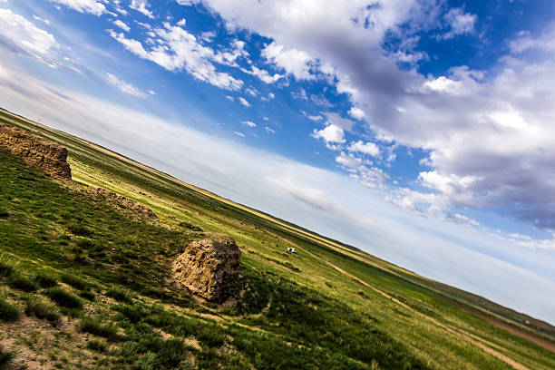 Grassland,Inner Mongolia Autonomous Region,China,Asia.Windbreak and sand fixation.