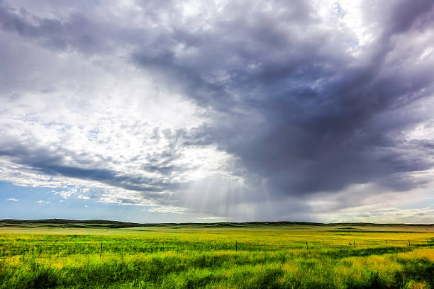 istock Grassland,Nei Mongol Autonomous Region,China,Asia. 2235469747