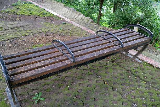 A wooden park bench with metal armrests on a mossy pavement in a green park.