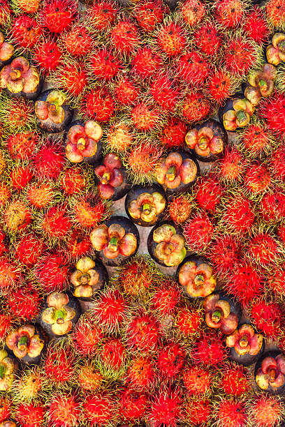 Mangosteen and rambutan arranged on the board