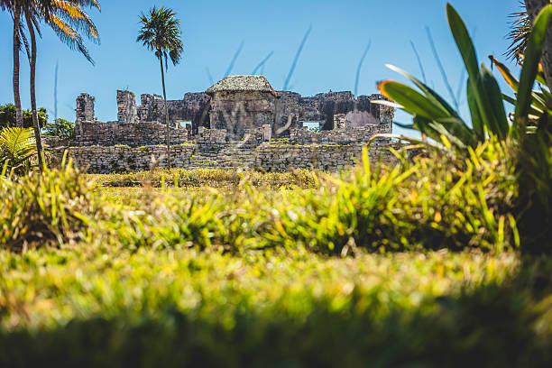 Tulum, Mexico  February 27, 2025. Exploring the remains of a historic site, with tall grass and palm trees framing the view of stone ruins under a vibrant blue sky during daytime.