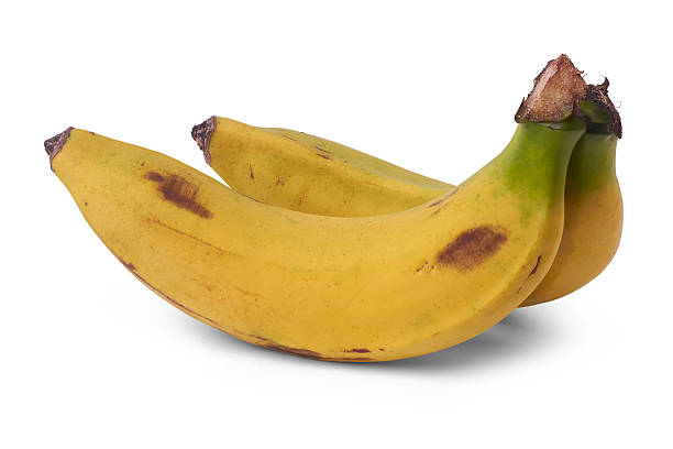 istock two ripe bananas with brown spots isolated 2235481943