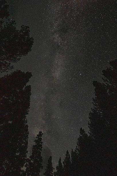 istock Night sky in Stanley, Idaho 2235485112