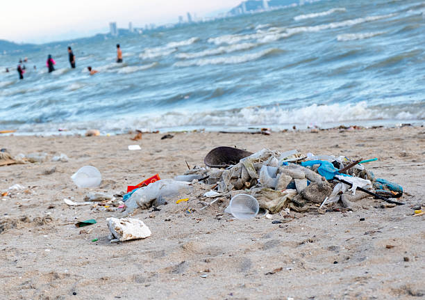 Dirty sea sandy shore ,Environmental pollution,Plastic water bottles pollution in ocean (Marine debris)