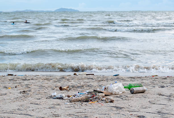 istock Dirty sea sandy shore ,Environmental pollution,Plastic water bottles pollution in ocean (Marine debris) 2235485692