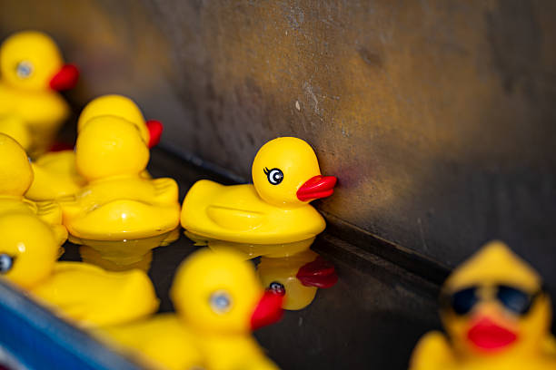 istock Close up of yellow rubber ducks floating in water. 2235488515