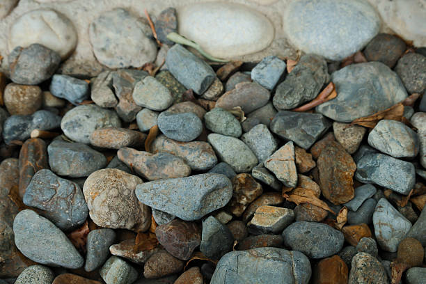 A close-up view of assorted smooth river stones and dry leaves scattered on the ground.