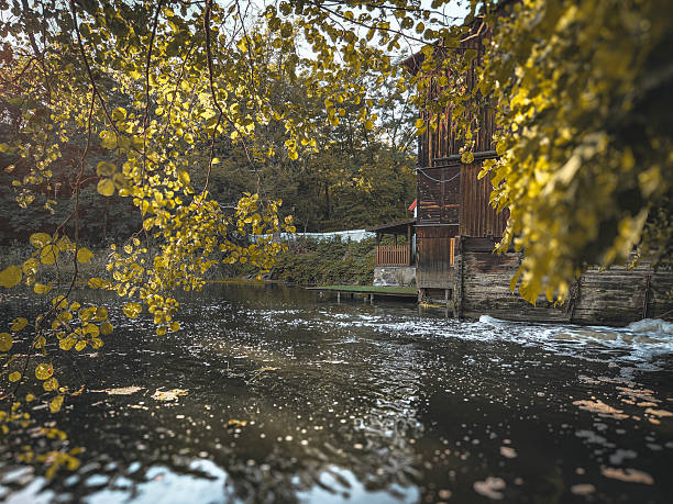 Lowland landscape with the river in the background.