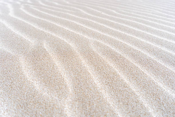 istock Close-up detail of natural patterns on sand dune surface 2235498603