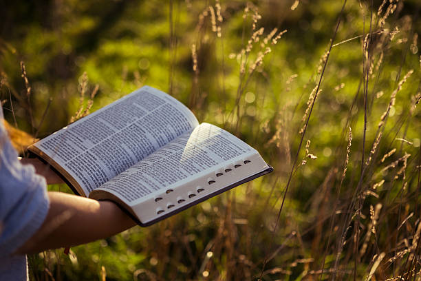 istock Open Bible in hands amid tall grass 2235503030