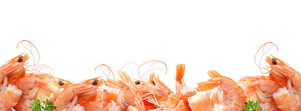 istock Fresh shrimps on white background 2235503415