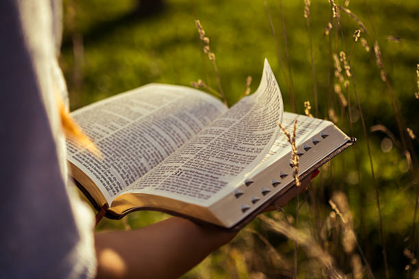 istock Open Bible in hands amid tall grass 2235503428