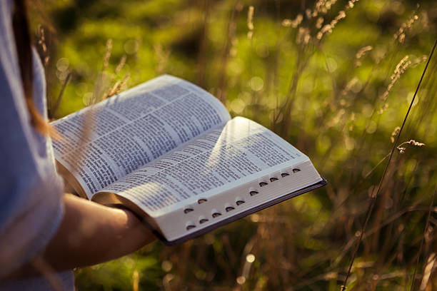 istock Open Bible in hands amid tall grass 2235503431