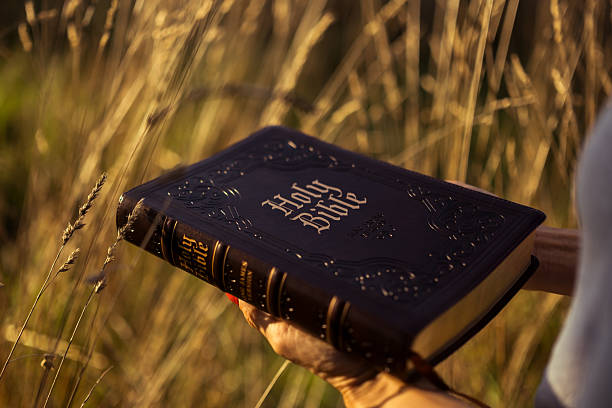 istock Open Bible in hands amid tall grass 2235503542