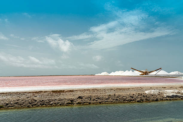 Salt works. At sunrise with a clear sky. Salt transport belt partial visible. Wide shot.