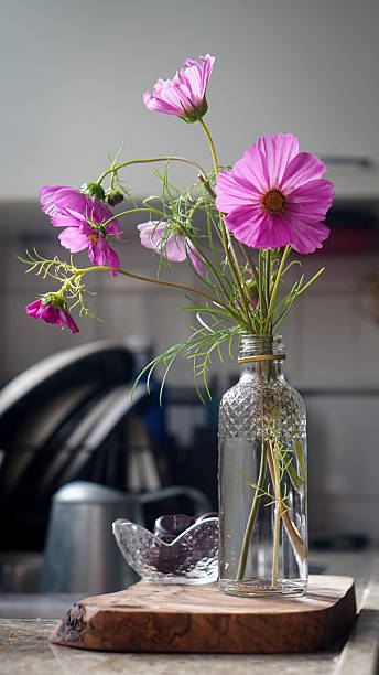 istock Cosmos in a glass bottle 2235505659