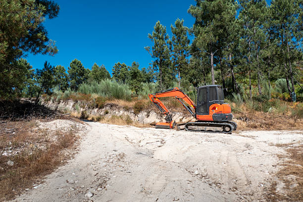 Mini excavator clearing paths at the intersection of a rural dirt road