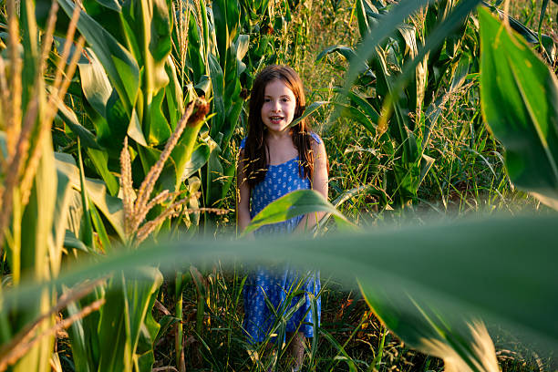 Young girl standing in a corn field, enjoying the sunset