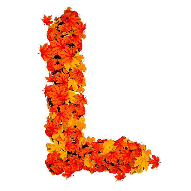 Letter L formed by autumn leaves.