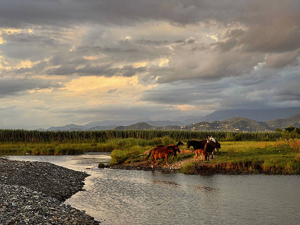 Sky cloud, river, mountains and horses on grass meadow