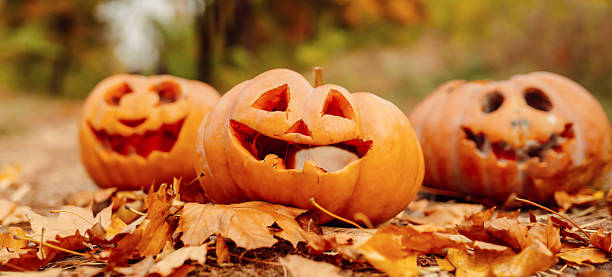 istock Three Halloween pumpkins stand on fallen leaves in an autumn park. 2235520692