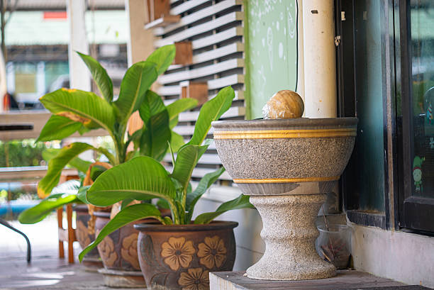 A serene outdoor scene featuring a decorative fountain surrounded by lush green plants, capturing a tranquil atmosphere perfect for relaxation.