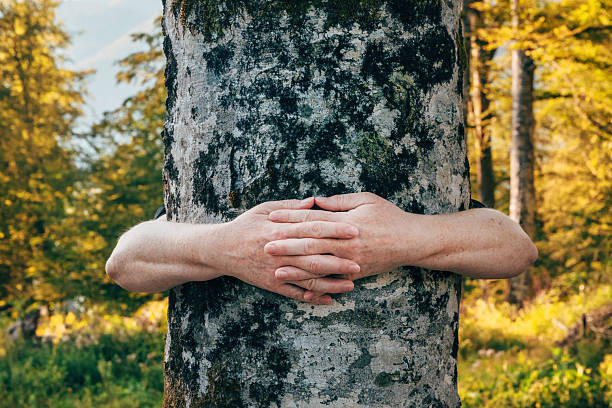 Environmentalist hugging tree. Hands embracing a tree trunk in a forest as a symbol of love for nature and environmental protection. Selective focus.