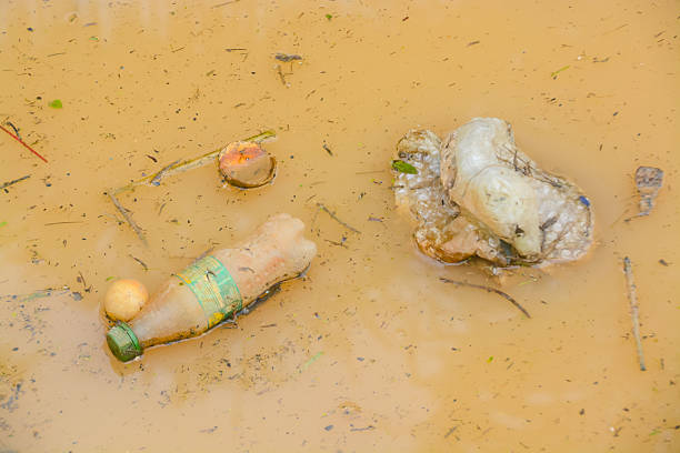 Klang, Malaysia: Mac 16th, 2025-An empty plastic bottles lies abandoned in a polluted pond among reeds, a powerful visual statement on garbage, neglect, and water contamination.
