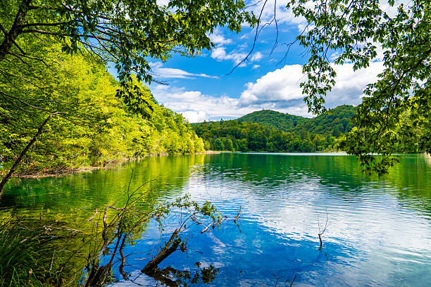 istock Tranquil Green Lake with Reflections of Forest Trees and Hillside Vegetation Under Bright Blue Sky in Plitvice Lakes Croatia Natural Landscape 2235524550