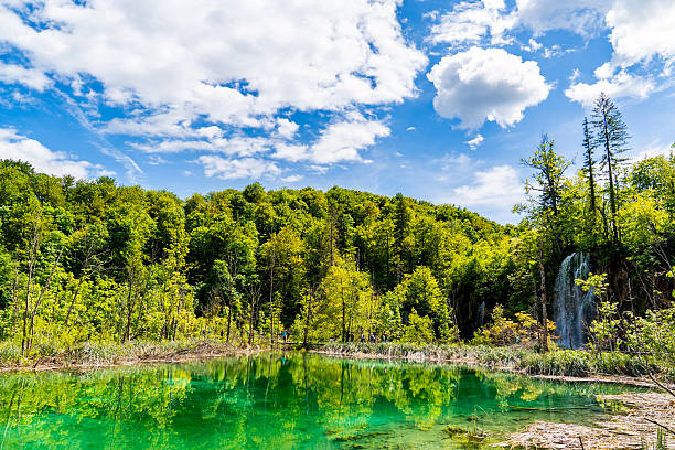 Plitvice is a stunning national park in Croatia known for its beautiful waterfalls and lakes. It's a UNESCO World Heritage site with wooden footbridges for exploring. The park offers a peaceful nature escape with diverse flora and fauna. Visitors can enjoy walking tours, boat rides, and hiking trails. It's a magical destination all year round