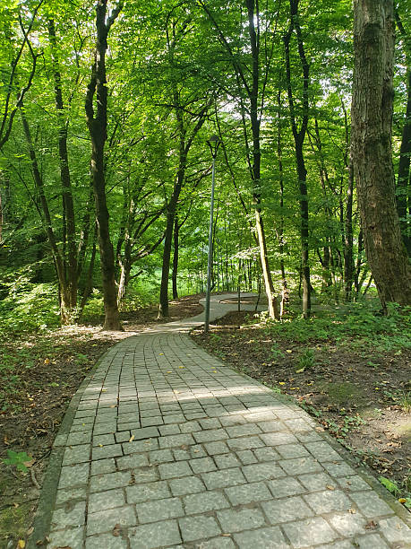 istock A cozy park path, paved with tiles, is surrounded by greenery of trees and bushes. Lanterns along the alley create 2235526332