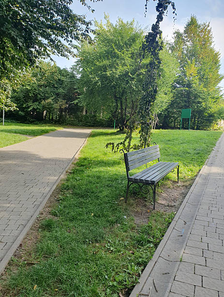 istock A cozy park path, paved with tiles, is surrounded by greenery of trees and bushes. Lanterns along the alley create 2235526524
