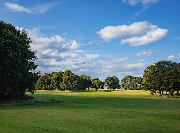 istock Scenic Green Park Landscape Under a Clear Blue Sky with Clouds 2235533035