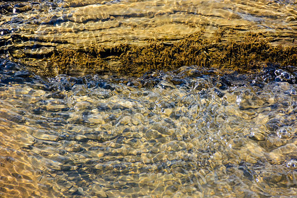 istock nature texture with stones in the water steam 2235533499