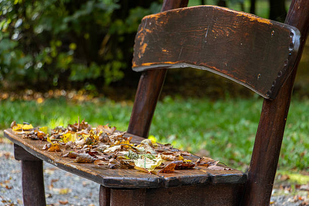 A bench in the autumn park covered with fallen leaves