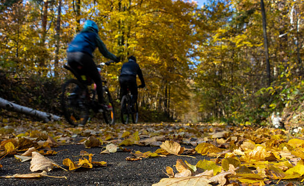 istock A cyclists rides on way in an autumn landscape 2235533562