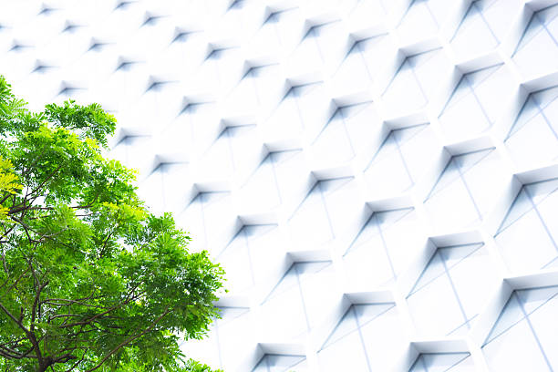 istock Go Green – Sustainable Resources – Green Building 2235535362