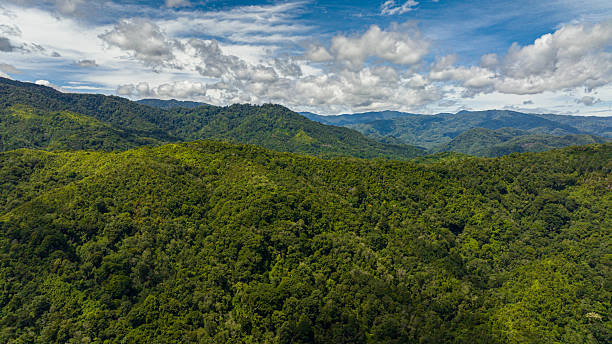 istock Mountains with rainforest and jungle. Sumatra, Indonesia. 2235536786