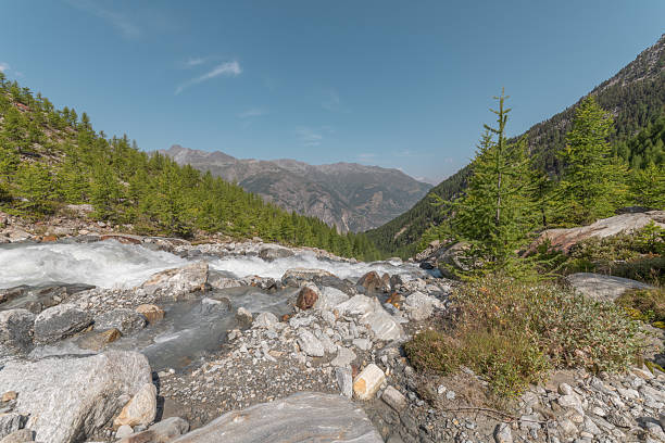 istock Scenic mountain river flowing through rocky terrain with lush green trees in a tranquil natural setting 2235538421