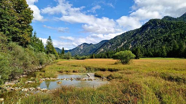 istock autumn in mountains Ruhpolding - grasses at lake Weitsee 2235546442