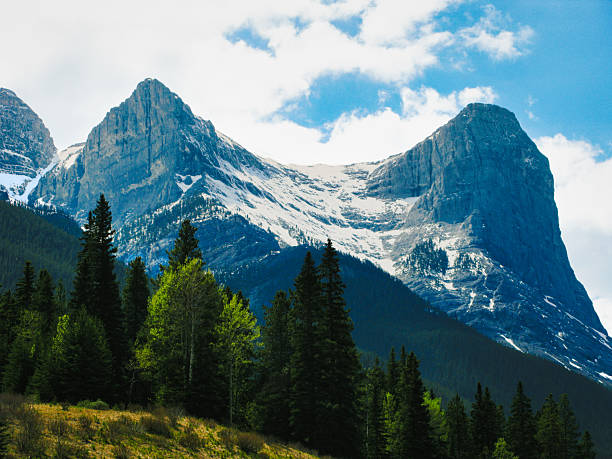 Majestic Mount Kidd rises above a lush forest, showcasing nature's beauty. A scenic view for all to enjoy.