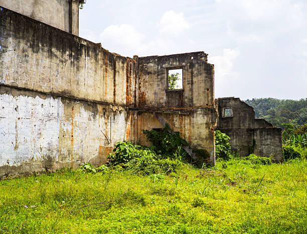A decaying concrete structure with peeling paint and exposed brick stands roofless in a rural setting, while tall grass and climbing plants reclaim its base. Lush trees and a bright sky in the background highlight the contrast between human-made decay and thriving nature.