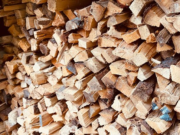 istock Stacked firewood in neat pile, natural background 2235552079
