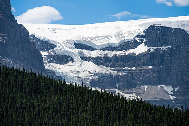 Columbia Icefield Glacier in Jasper National Park, Alberta, Canada. This massive ice formation, part of the Canadian Rockies, is one of the largest icefields in North America and a highlight along the Icefields Parkway. A dramatic natural scene combining rugged cliffs, evergreen forest, and glacial ice.