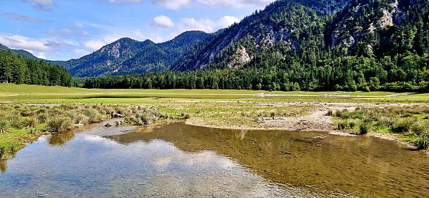 istock waterreflection at lake in Bavarian Alps 2235555798